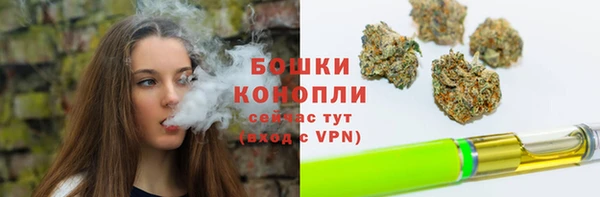 шишки Алексеевка