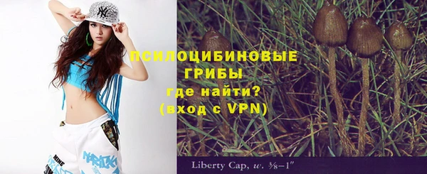 Альфа ПВП Аркадак