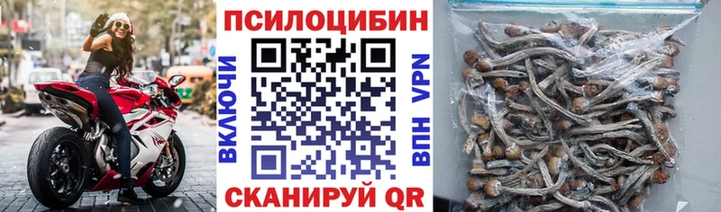 блэк спрут сайт  Бологое  Галлюциногенные грибы ЛСД 